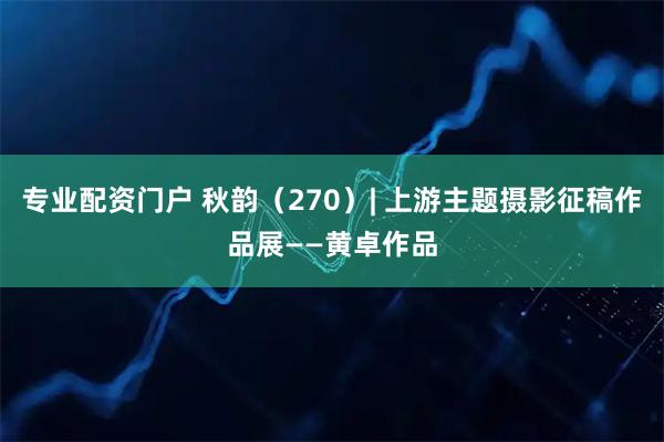 专业配资门户 秋韵（270）| 上游主题摄影征稿作品展——黄卓作品