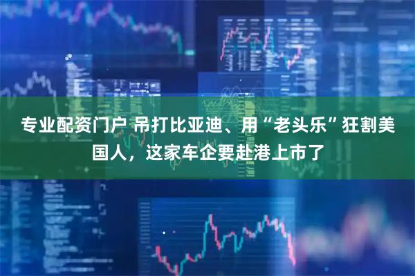 专业配资门户 吊打比亚迪、用“老头乐”狂割美国人，这家车企要赴港上市了